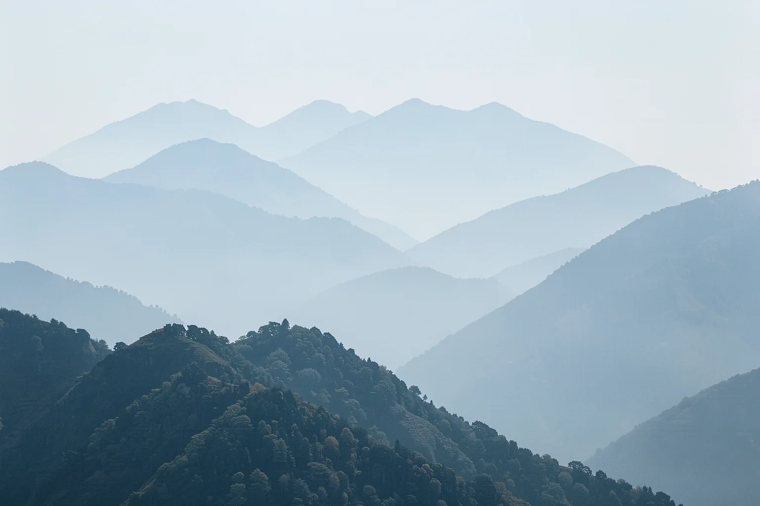 Misty Blue Mountains. Layered blue mountain ridges fade into mist behind a dark forested foreground slope.
