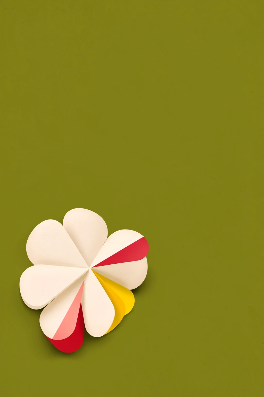 Vibrant Floral Abstract. A stylized layered flower with white, red, and yellow petals appears against an olive-green background.