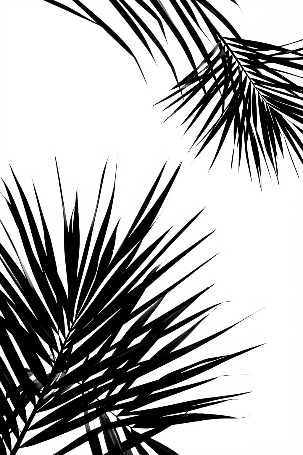 Tropical Frond Pattern. Sharp black palm fronds extend from the upper-right and lower-left corners across a white background.