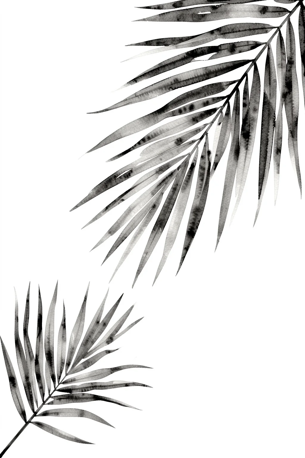 Tropical Leaf Watercolor. Two clusters of long gray-black watercolor leaves sweep diagonally across a clean white background.