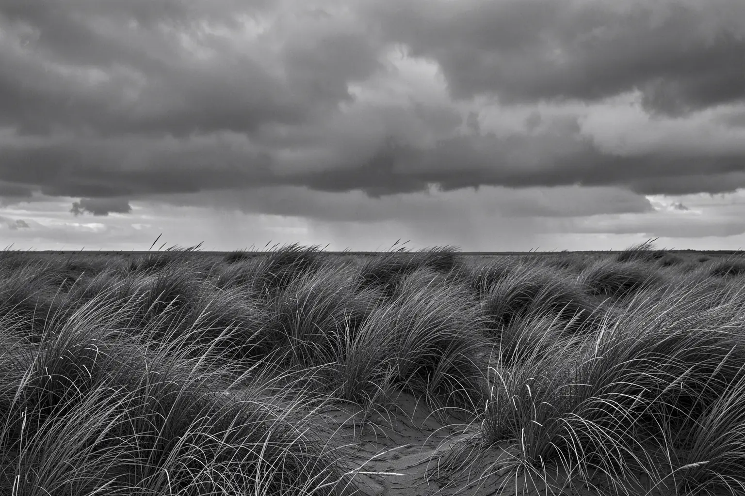 Wind Swept Dune Grass. A monochrome photograph shows grasses sweeping across sand dunes beneath a cloudy sky.