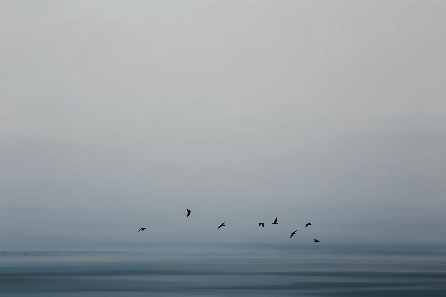 Misty Horizon Bird Flight. A small flock of dark birds flies above a calm, misty blue-grey sea and distant horizon.