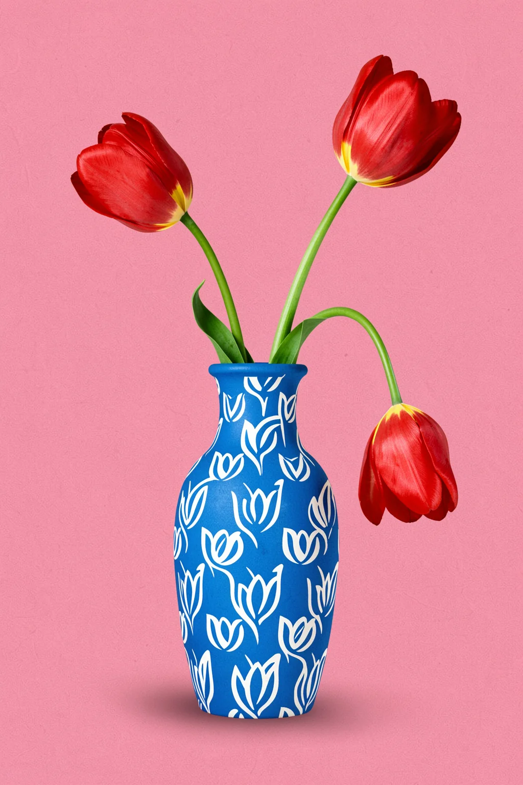 Tulpe in vase. Two upright red tulips and one drooping bloom rise from a blue vase patterned with white tulip motifs.