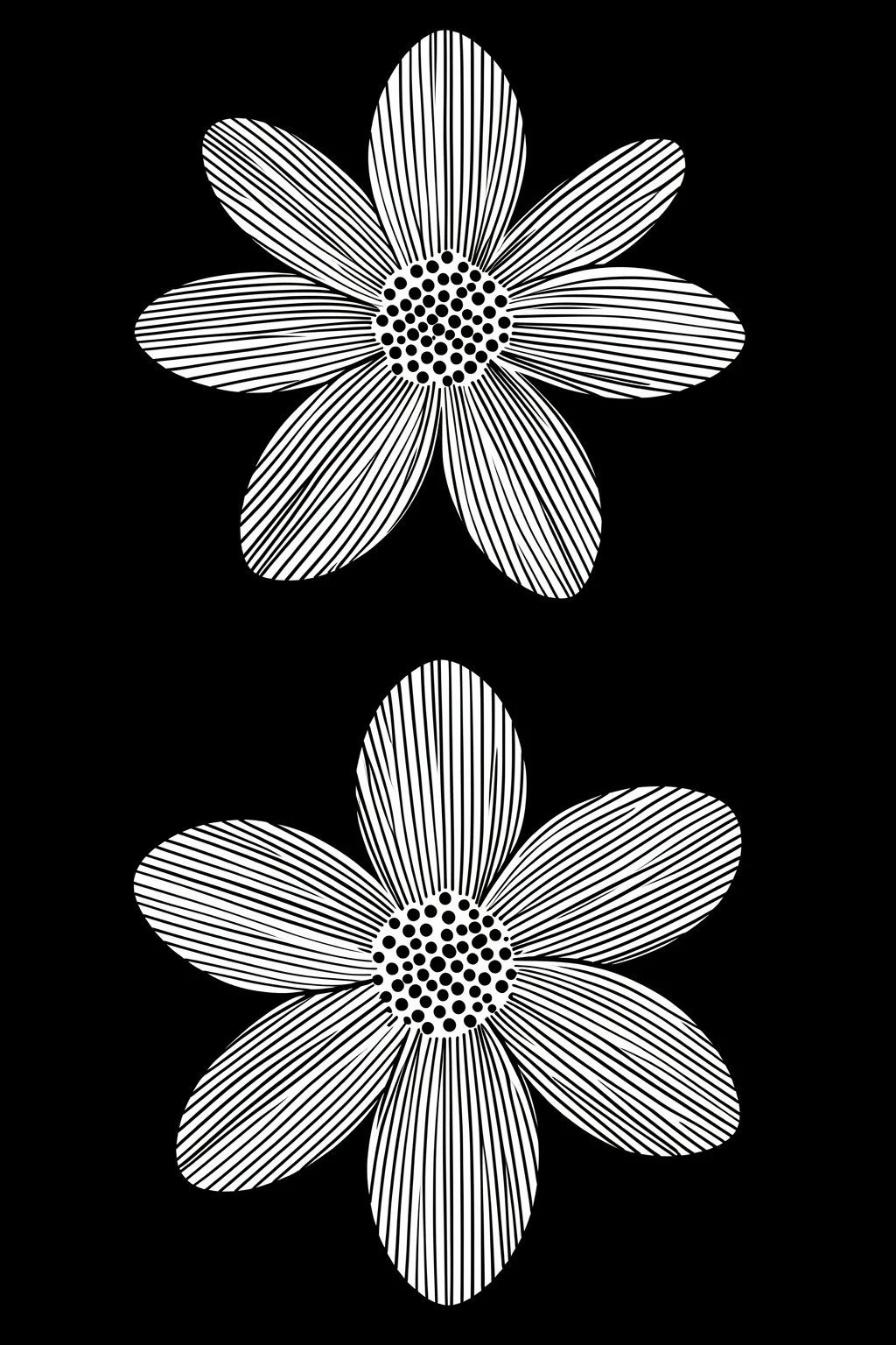 Graphic Black and White Flowers. Two large white flowers with fine black-striped petals and dotted centers stand against a black background.