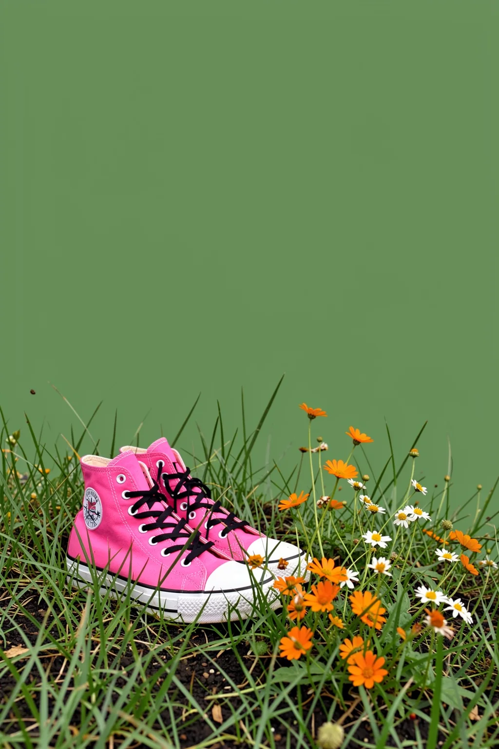 Pink Shoes in Wildflowers. Pink high-top sneakers sit among tall grasses and orange-and-white wildflowers against a muted green field.