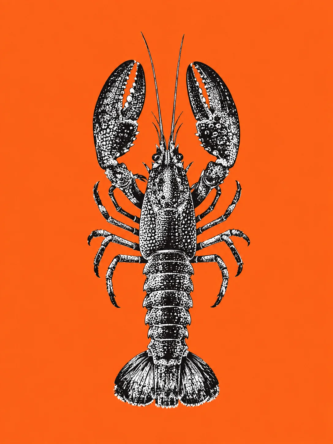 Black-and-white engraved lobster with raised claws on a bright orange background.