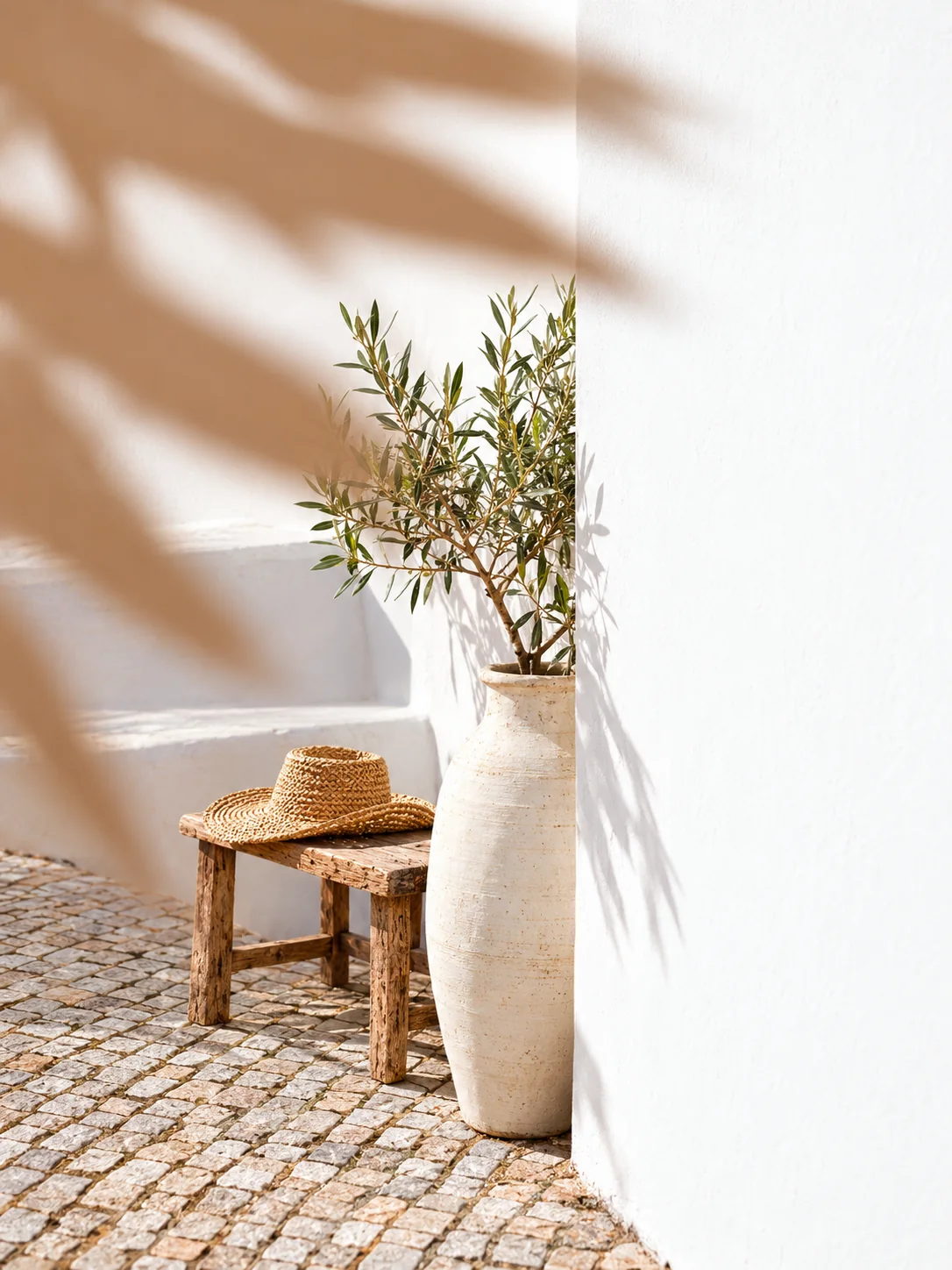 Sunlit white wall with a wooden bench, a woven hat and a ceramic planter with an olive tree beside palm-leaf shadows.
