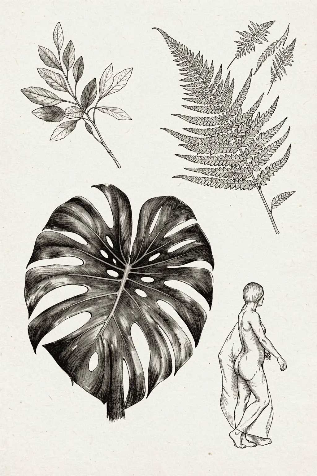 Pencil Sketches Of Various Plant Leaves. Pencil-style studies of several leaves, including a fern and a large split leaf, are arranged around a small walking human figure on textured paper.