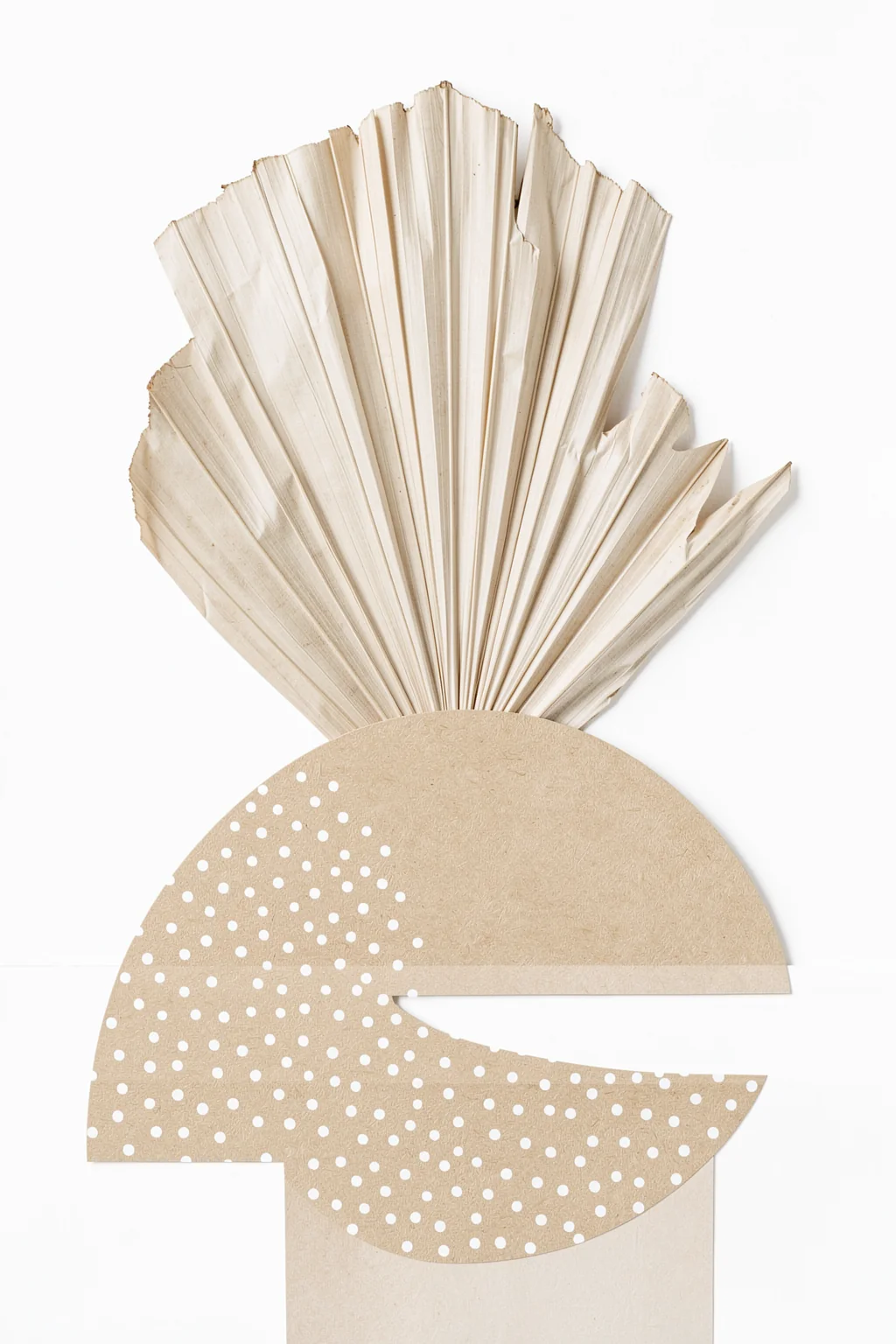 Botanical Desert Stack. A fan of pale folded, leaf-like forms rises above layered beige semicircles, including a curved section dotted with small white circles.