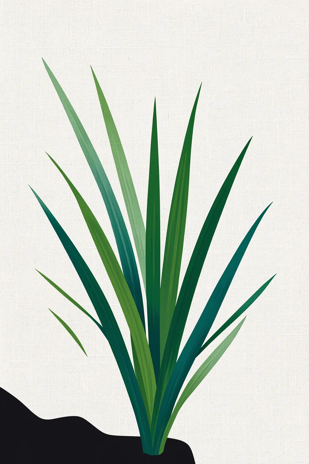 Desert Agave Cactus. Long pointed green agave leaves rise from a low black shadow on textured ivory.
