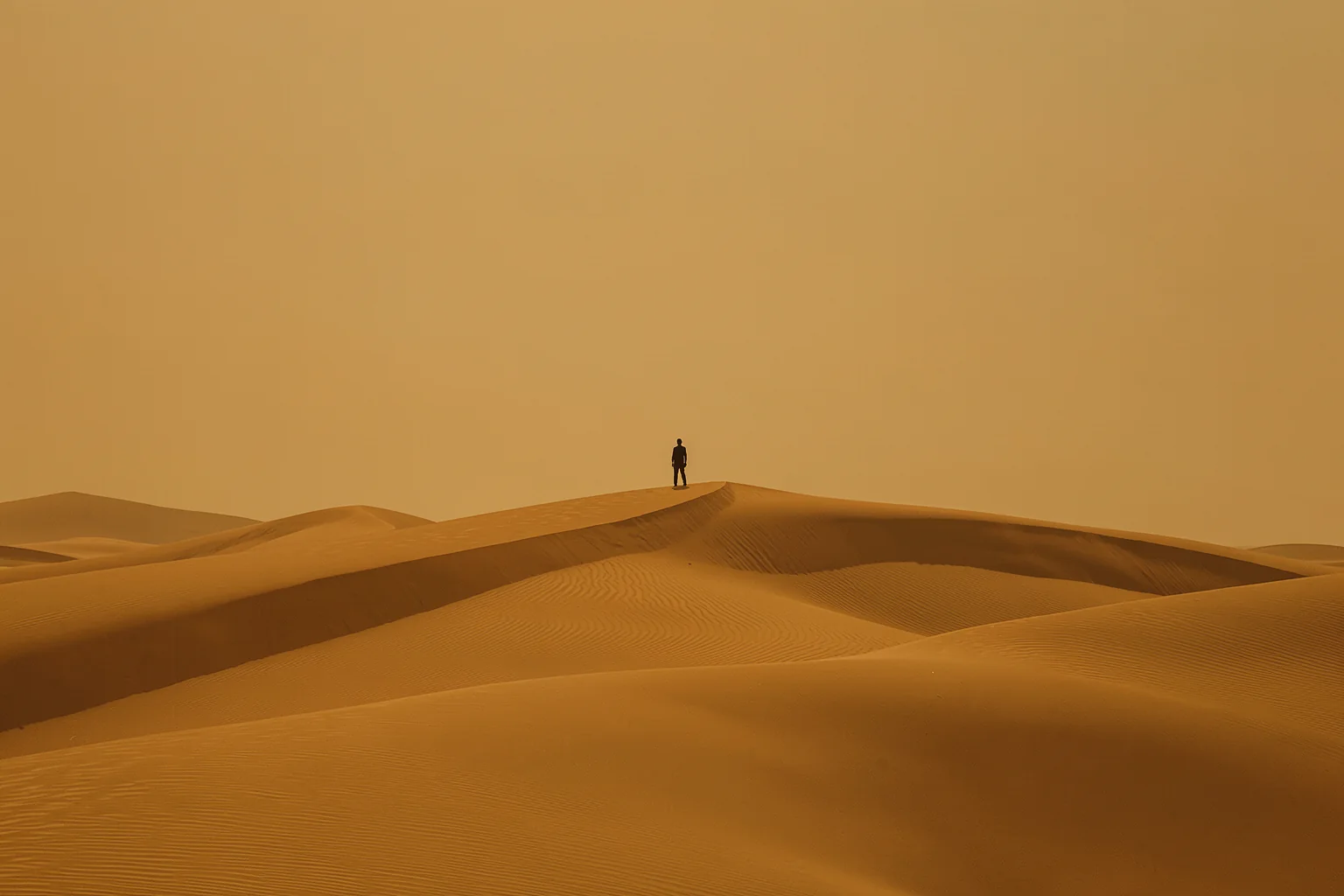 Golden Dune Solitude. A lone figure stands on a sunlit ridge above layered golden-orange dunes.