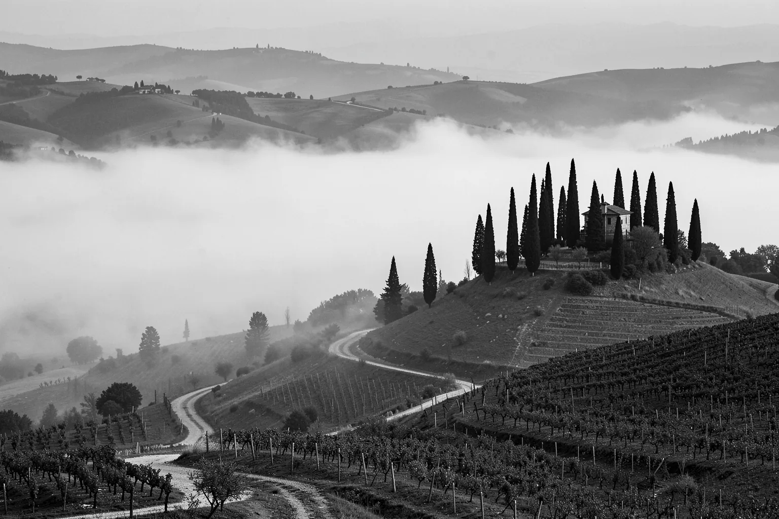 Misty Tuscan Morning. A black-and-white Tuscan hillside landscape shows a winding road, vineyards, cypress trees, and a hilltop house above fog.