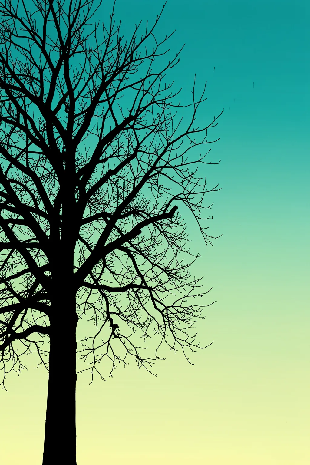 Tranquil Tree Silhouette. A dark, leafless tree spreads fine branches across a gradient sky shifting from turquoise to pale yellow.
