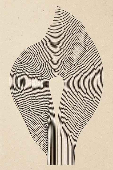 Curved Symmetry. Fine black contour lines bend symmetrically around a central opening, forming a tall looped shape on a lightly textured cream background.