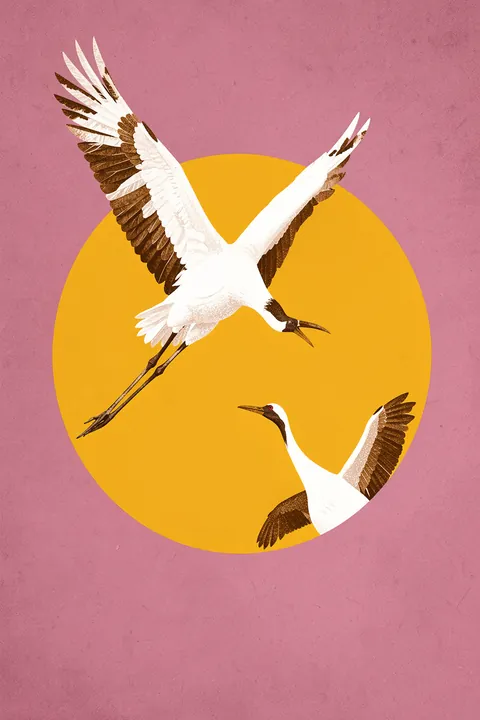 Graceful Cranes Sun. Two white cranes with dark wing markings fly across a large golden circle on a textured dusty-rose background.