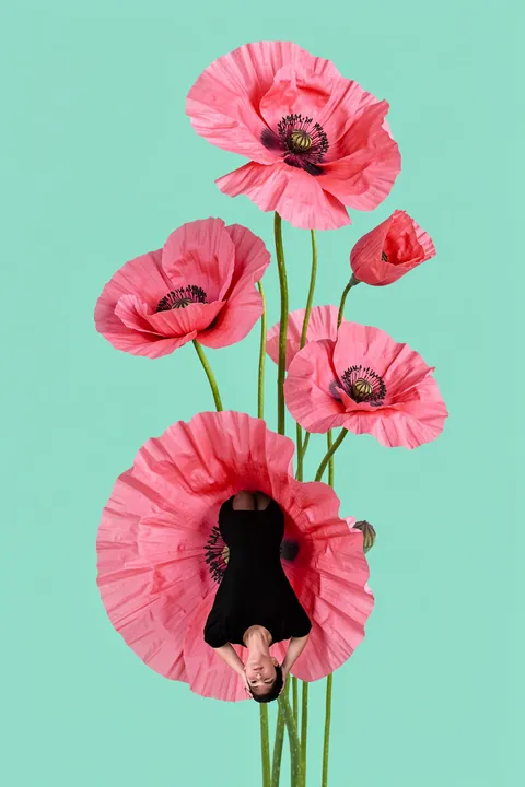 Colourful Dreamer. Four large pink poppies rise against turquoise, with a small upside-down figure suspended from the lowest flower.