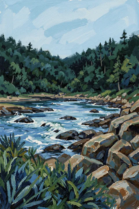 Vibrant Coastal View. A painted rocky stream runs through dense dark-green forest beneath a light blue sky.