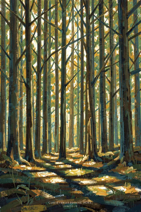 Abstract Forest Reflections. Tall tree trunks and diagonal branches frame a sunlit forest floor in a textured, painterly woodland scene.