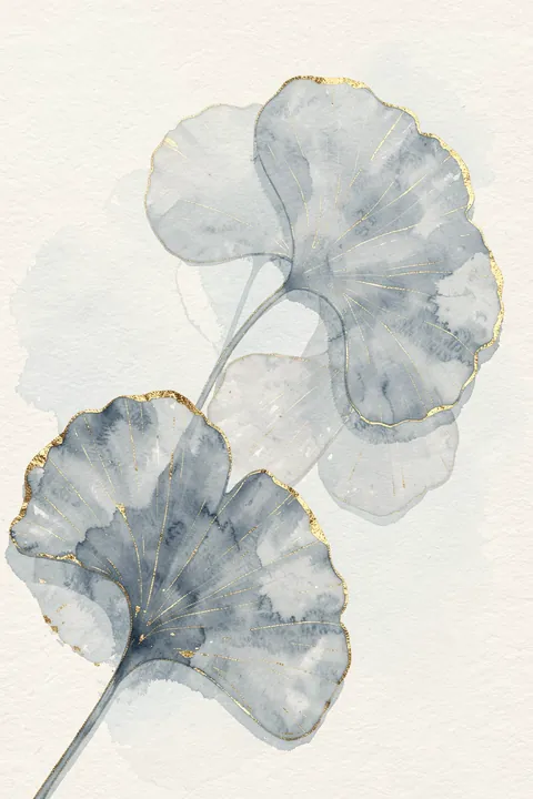 Blue Ginkgo Leaves 2. Two large translucent blue-gray fan-shaped ginkgo leaves with fine gold edging overlap on textured off-white paper.