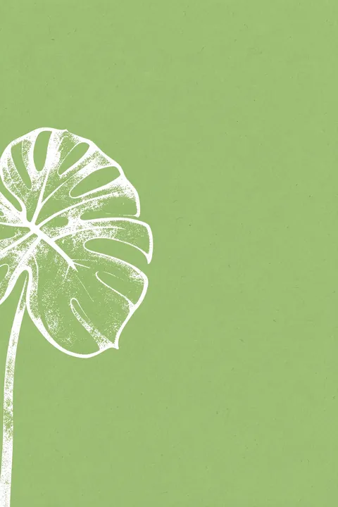 Monstera Leaf Outline. A large white, stippled monstera leaf enters from the left edge of a muted green background.