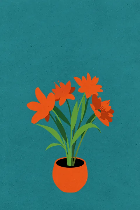 Vibrant Potted Flowers. Three orange flowers and green leaves grow from an orange pot against a textured teal background.