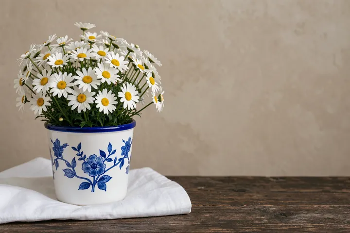 Rustic Daisy Bucket. White daisies with yellow centers grow in a white pot decorated with blue floral motifs, resting on folded cloth and a wooden table.