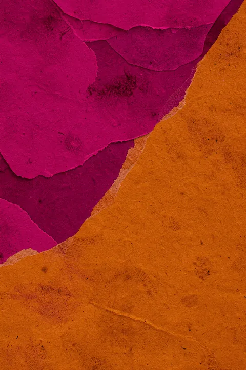 Repeatpat Hydrangea2vivaorg2. Rough-edged fields of hot pink, burgundy, and orange overlap in a bold abstract composition.