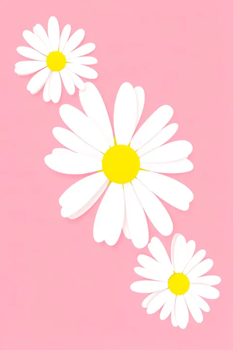 Uplifting Daisy Quote. Three white daisies with bright yellow centers are arranged diagonally on a soft pink background.