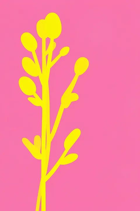 Cheerful Yellow Blooms. Bright yellow branching stems with rounded buds and simple leaves rise across a vivid pink background.