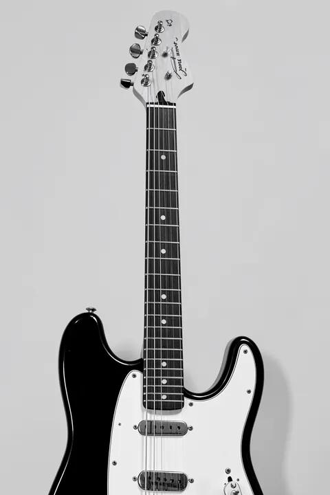 Monochrome Electric Guitar. A black-and-white electric guitar is shown upright against a plain light gray background.