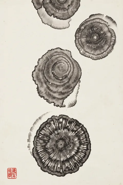 Organic Ink Wash Circles. Four irregular circular ink-wash forms with radiating ring-like marks are spaced on cream paper; a red seal sits near the bottom.
