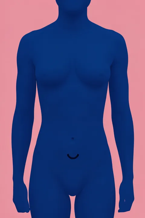 Blue Female Form. A simplified front-facing deep-blue female torso silhouette fills a muted pink field, with minimal facial detail.