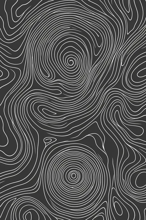 Organic Flowing Lines. Fine white contour lines curl and loop across a charcoal field, forming several swirling organic patterns.