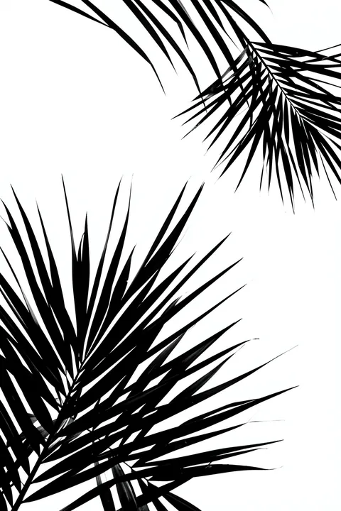 Tropical Frond Pattern. Sharp black palm fronds extend from the upper-right and lower-left corners across a white background.