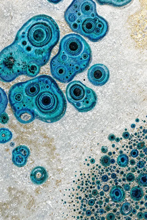 Aqua Aurora 3upscaled Cgi 13287w. Irregular teal and blue cellular forms with dark concentric centers scatter across a textured white field with small gold flecks.