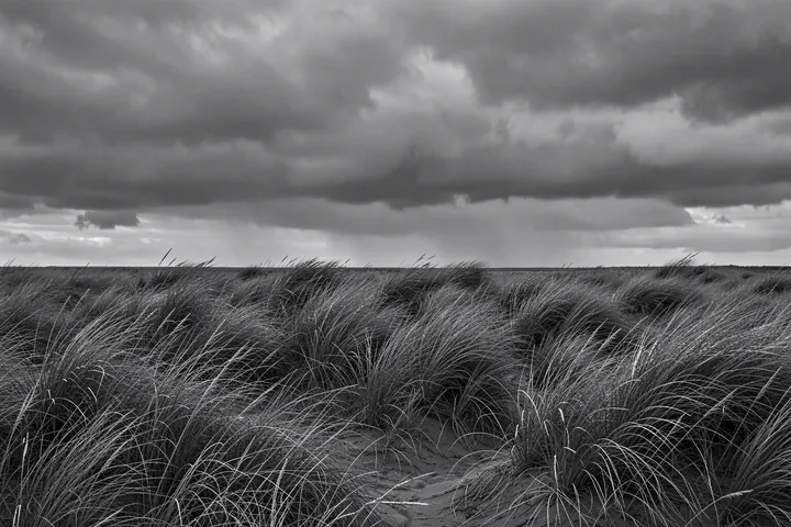 Wind Swept Dune Grass. A monochrome photograph shows grasses sweeping across sand dunes beneath a cloudy sky.