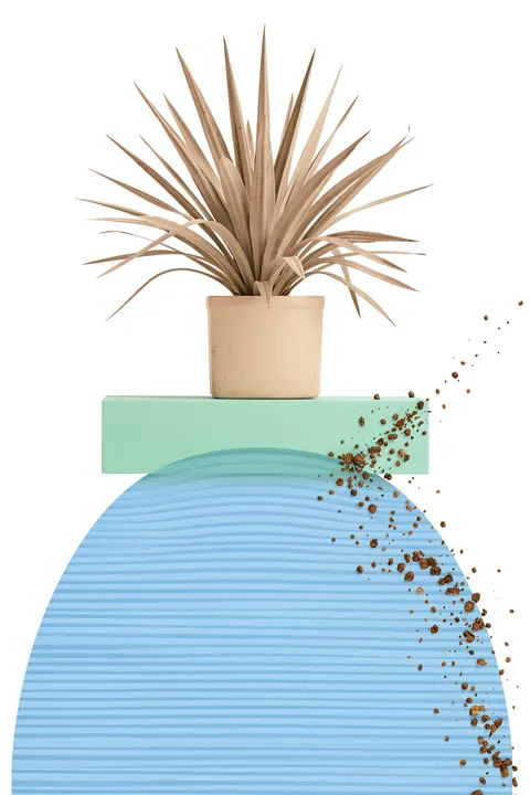 Boho Botanical Stacks. A spiky potted plant balances on a mint block above a large blue striped sphere, with soil scattered down one side.