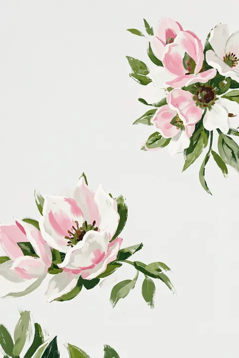Pink And White Blooms. Loose pink and white blossoms with green leaves appear in two airy clusters against open white space.