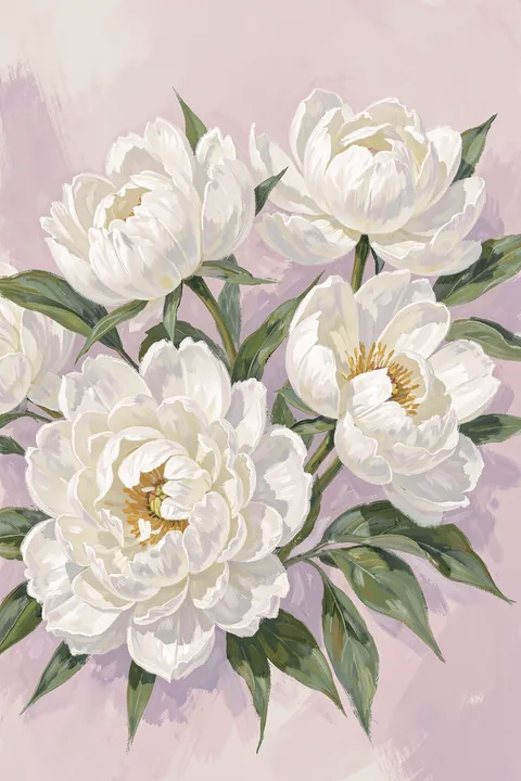 Soft White Peonies. A painterly cluster of full white peony-like blossoms and green foliage sits against a pale blush-lilac background.
