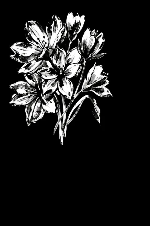 Fluid Dark Blooms. Loose white flowers and buds are painted in expressive strokes against a solid black background.