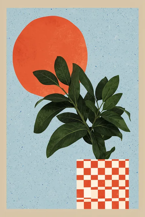 Geometric Sun Plant. A leafy dark green plant stands before an orange sun on a speckled blue ground, with a red-and-cream checkerboard block below.