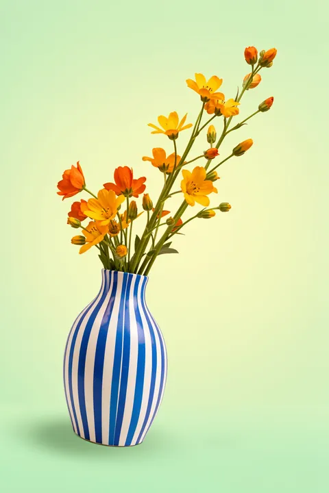 Vibrant Poppies in Striped Vase. Orange and golden flowers rise from a blue-and-white striped vase against a pale green background.