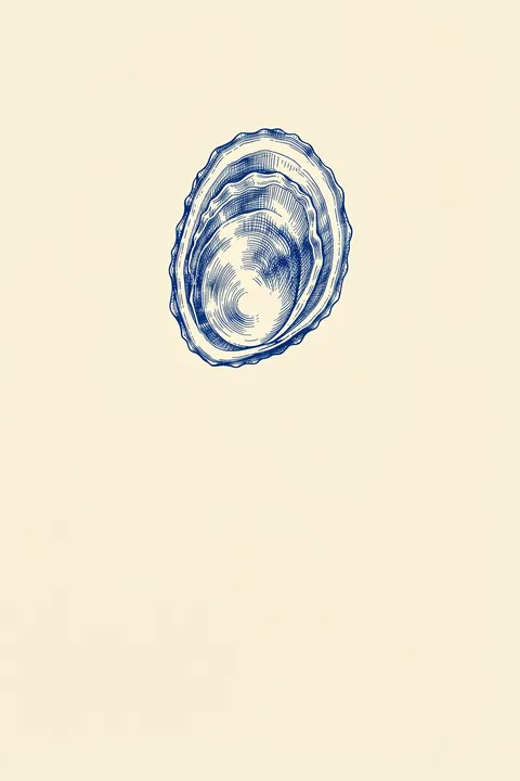 Oyster Shell Maidens. A single oyster shell is outlined in blue with layered ridges on a pale cream background.