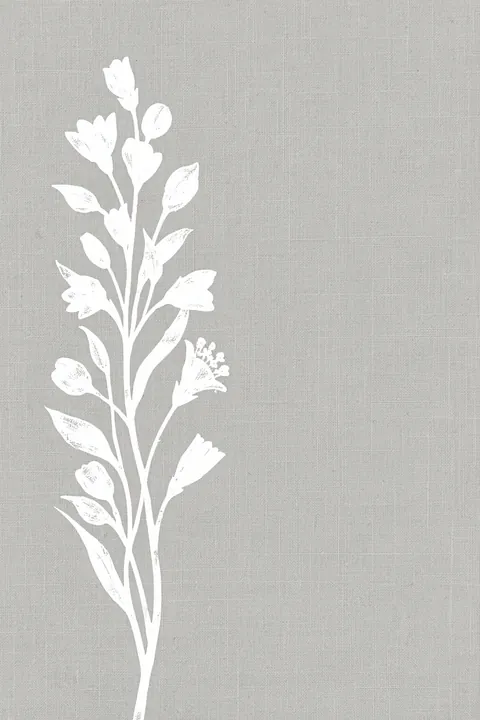 White Floral Silhouette. White silhouettes of flowering stems and leaves rise from the bottom of a grey, finely textured field.
