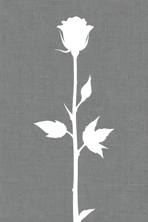Botanical Rose Silhouette. A white rose and several leaves form a silhouette on a grey, finely textured background.