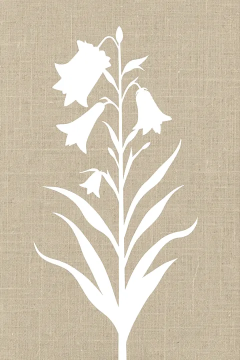 White Botanical Blooms. Translucent white lunaria seed pods and upright flower spikes stand against a cool grey-blue botanical backdrop.