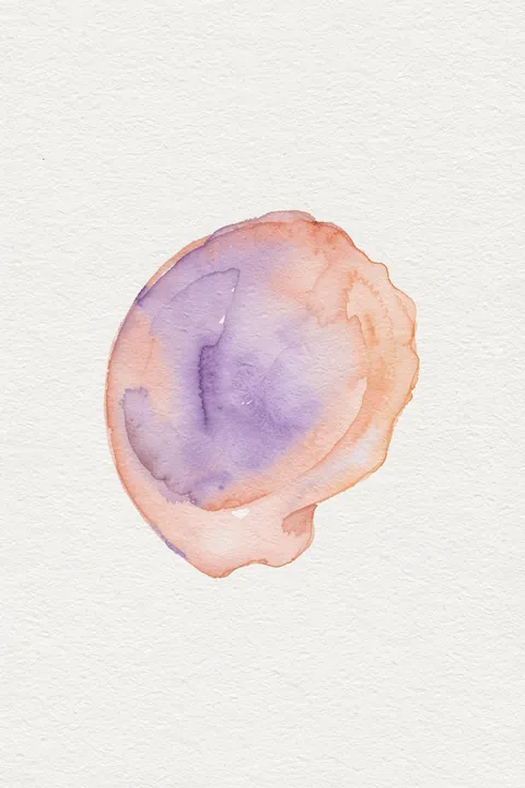 Purple Seashell Watercolor. A soft-edged lavender and peach watercolor shape sits alone on textured white paper.