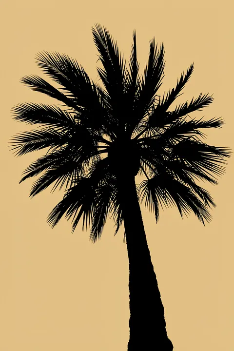 Vintage Tropical Palm. A dense black palm tree silhouette fills the center of a warm ochre background.
