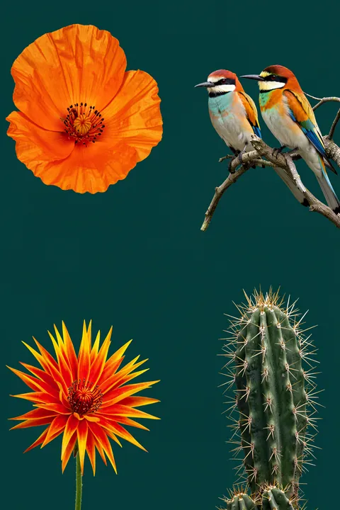 Tropical Birds and Blooms. Two colorful birds perch on a branch beside bright orange flowers and a tall cactus against deep teal.