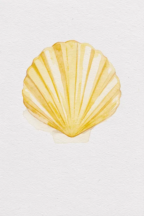 Sunny Scallop Shell. A pale yellow scallop shell is centered on a lightly textured white background in a soft watercolor style.